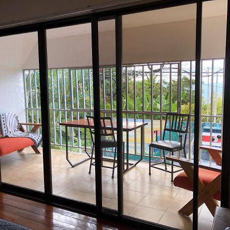 Cockatoo Studio Apartments Manuel Antonio Luaran gambar