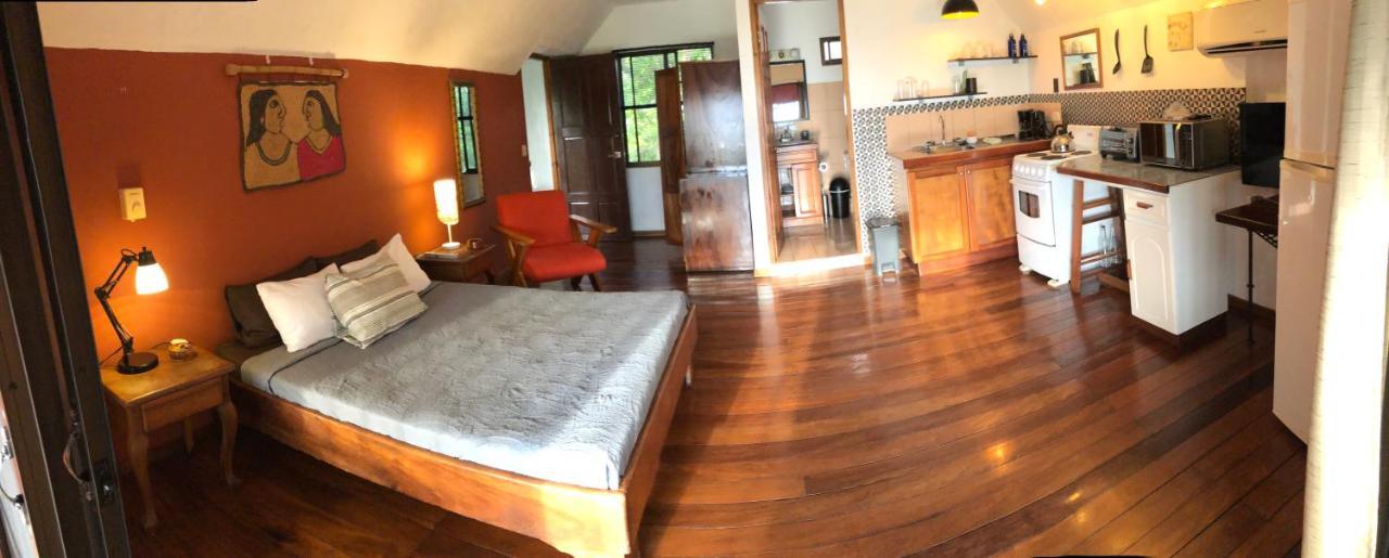 Cockatoo Studio Apartments Manuel Antonio Luaran gambar