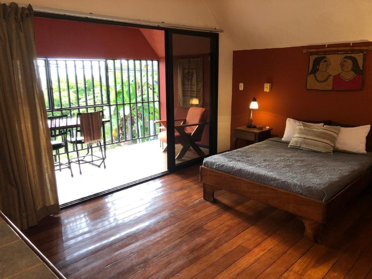 Cockatoo Studio Apartments Manuel Antonio Luaran gambar